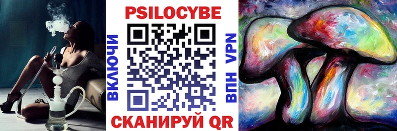 darknet Telegram  Шарыпово  Галлюциногенные грибы мицелий  где можно купить  
